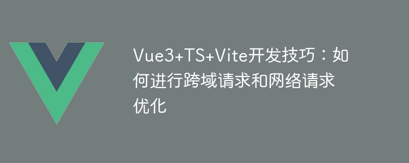 Vue3+TS+Vite开发技巧：如何进行跨域请求和网络请求优化