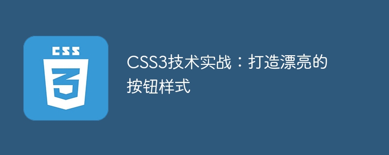 CSS3技术实战：打造漂亮的按钮样式