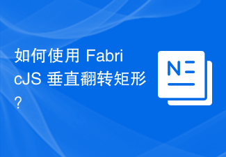 2023如何使用 FabricJS 垂直翻转矩形？