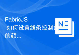 2023FabricJS – 如何设置线条控制角的颜色？