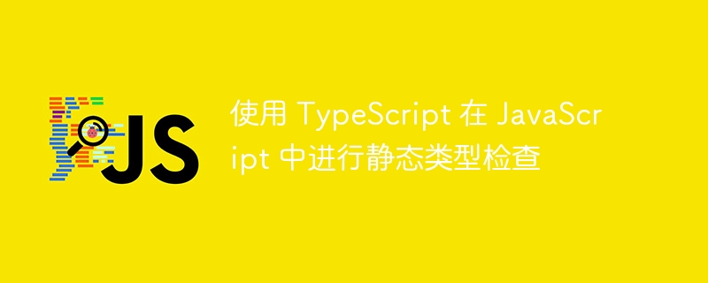 使用 TypeScript 在 JavaScript 中进行静态类型检查