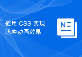 2023使用 CSS 实现脉冲动画效果