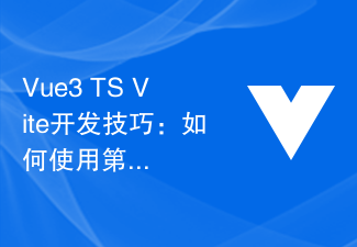 2023Vue3+TS+Vite开发技巧：如何使用第三方插件和库