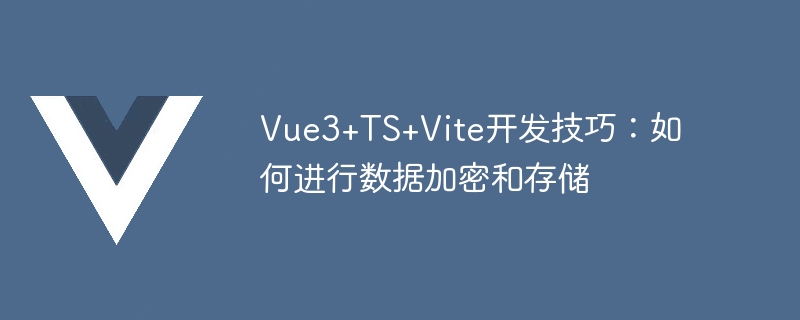 Vue3+TS+Vite开发技巧：如何进行数据加密和存储