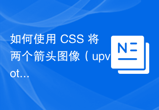 2023如何使用 CSS 将两个箭头图像（upvote/downvote）存储在彼此之上？