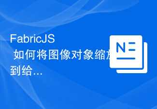 2023FabricJS – 如何将图像对象缩放到给定高度？