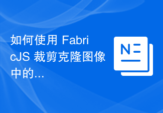 2023如何使用 FabricJS 裁剪克隆图像中的顶部偏移？