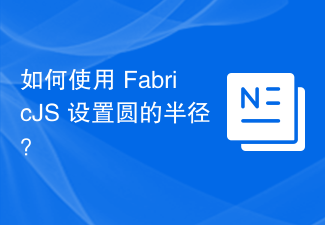 2023如何使用 FabricJS 设置圆的半径？