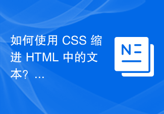 2023如何使用 CSS 缩进 HTML 中的文本？