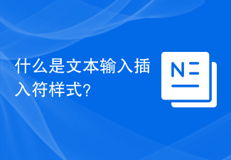 2023什么是文本输入插入符样式？