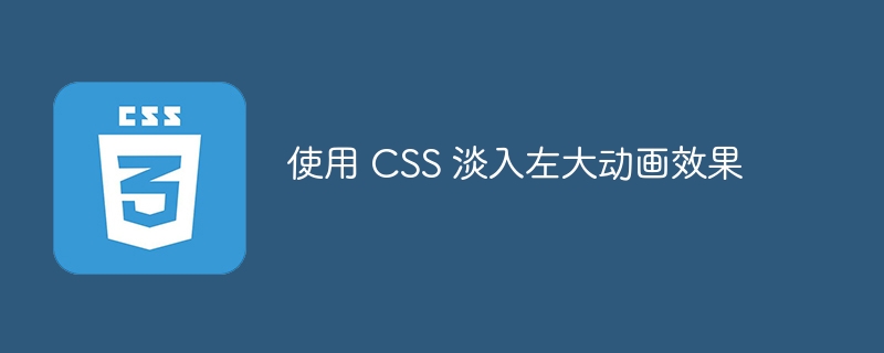 使用 CSS 淡入左大动画效果