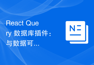 2023React Query 数据库插件：与数据可视化<span style='color:red;'>工具</span>的对接实践