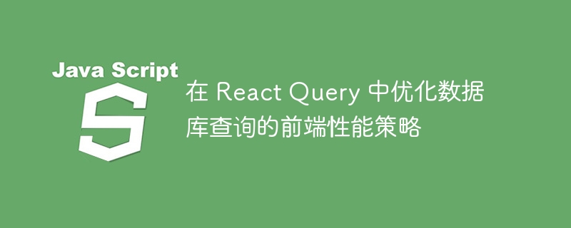 在 React Query 中优化数据库查询的前端性能策略