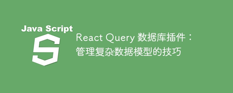 React Query 数据库插件：管理复杂数据模型的技巧