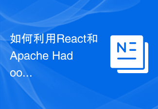 2023如何利用React和Apache Hadoop构建大规模数据处理应用
