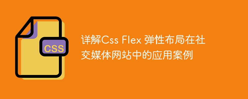 详解Css Flex 弹性布局在社交媒体网站中的应用案例