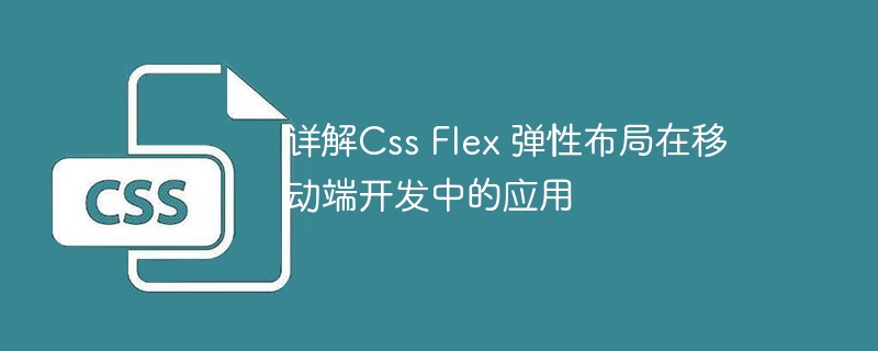 详解Css Flex 弹性布局在移动端开发中的应用