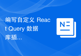 2023编写自定义 React Query 数据库插件的方法