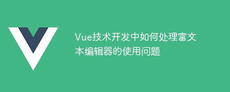 Vue技术开发中如何处理富文本编辑器的使用问题