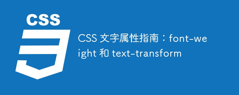 CSS 文字属性指南：font-weight 和 text-transform