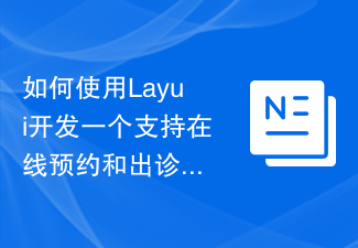 2023如何使用Layui开发一个支持在线预约和出诊管理的医疗服务平台