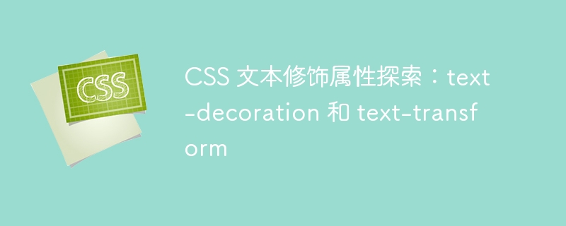CSS 文本修饰属性探索：text-decoration 和 text-transform