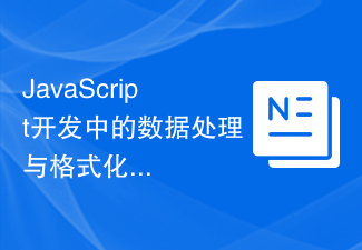 2023JavaScript开发中的数据处理与格式化经验分享