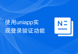 2023使用uniapp实现登录验证功能
