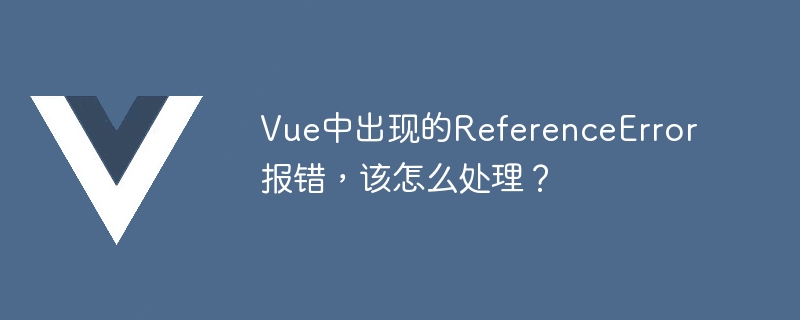 Vue中出现的ReferenceError报错，该怎么处理？