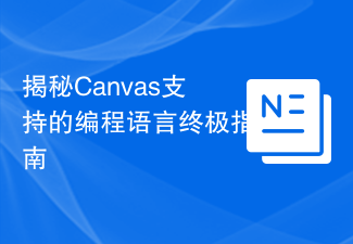 2024揭秘Canvas支持的编程语言终极指南
