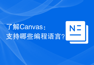2024了解Canvas：支持哪些编程语言？