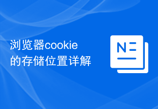 2024浏览器cookie的存储位置详解