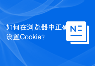 2024如何在浏览器中正确设置Cookie？