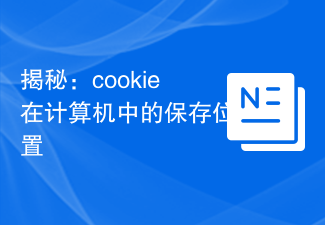 2024揭秘：cookie在计算机中的保存位置